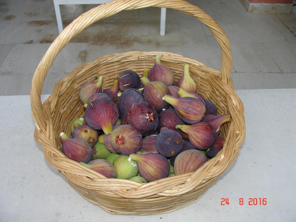 איפסוס Villa Magia מראה חיצוני תמונה