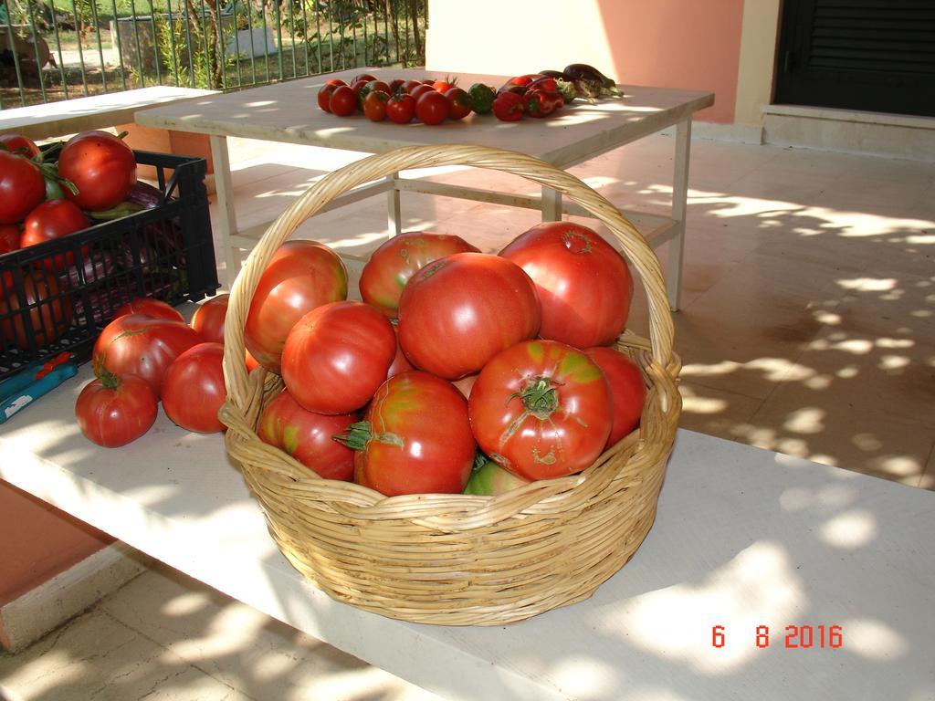 איפסוס Villa Magia מראה חיצוני תמונה