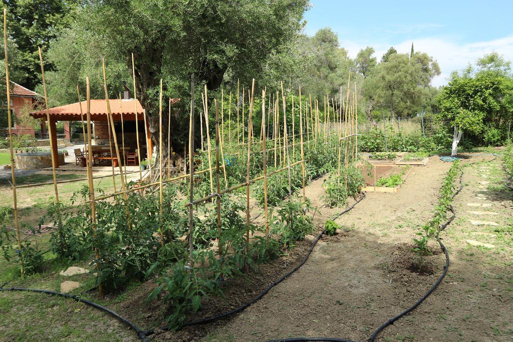 איפסוס Villa Magia מראה חיצוני תמונה