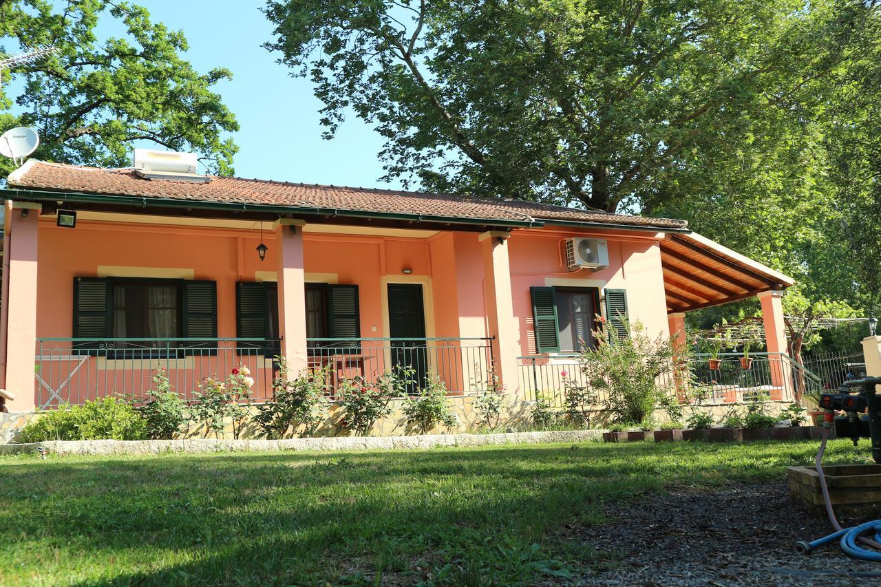 איפסוס Villa Magia מראה חיצוני תמונה